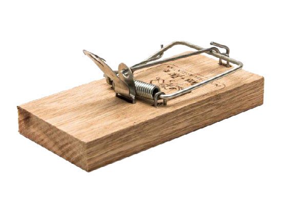 TRAMPA DE MADERA PARA RATA
